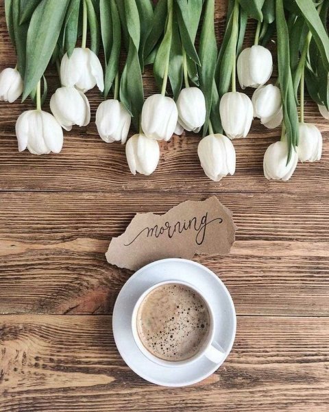 Стильное утро