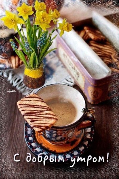 Уютные весенние цветы