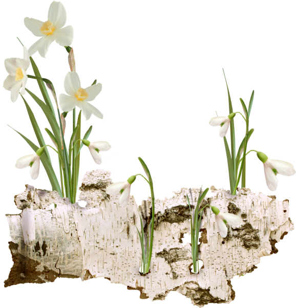 Весна на прозрачном фоне