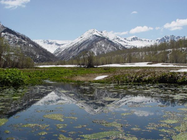 Камчатка Весна природа