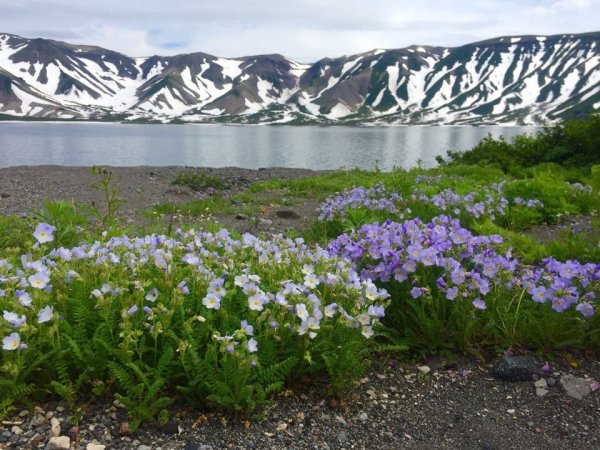 Камчатка Весна природа