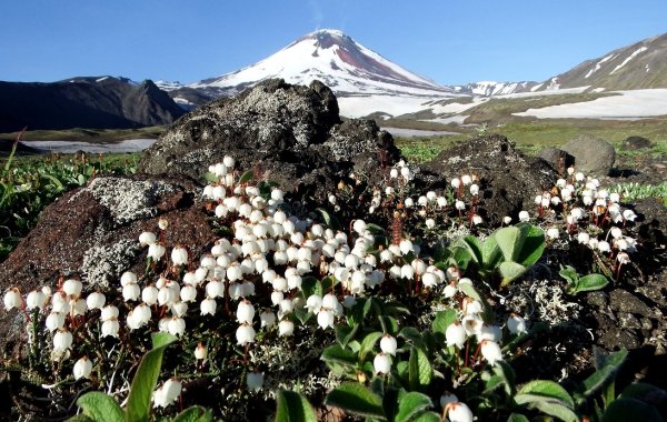 Камчатка весной