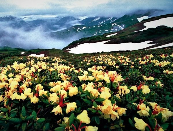 Камчатка весной