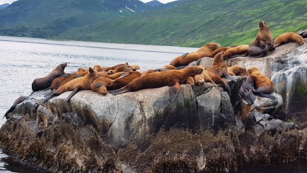 Весна на Камчатке