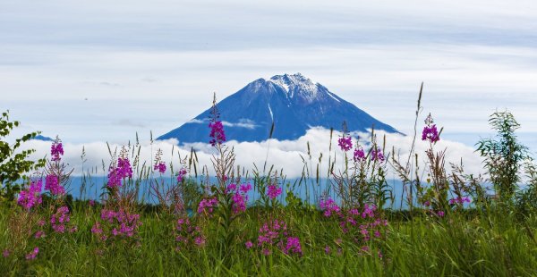 Ранняя Весна Камчатка