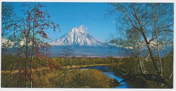 Высокотравные Луга Камчатки