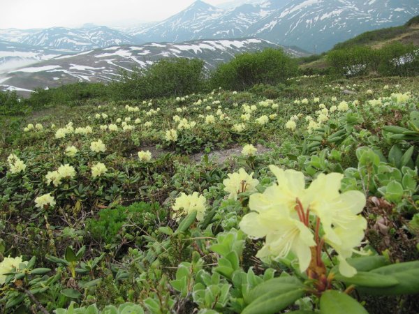 Природный парк голубые озера Камчатка
