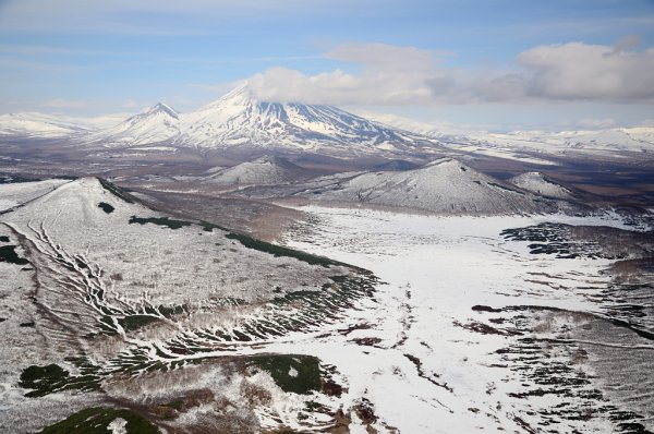 Флора Камчатки