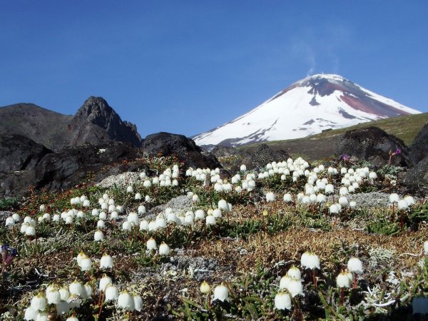 Зимние пейзажи Камчатки