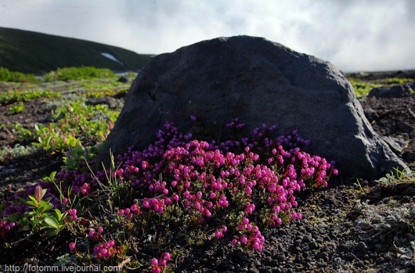 Камчатский вулкан Ключевская сопка
