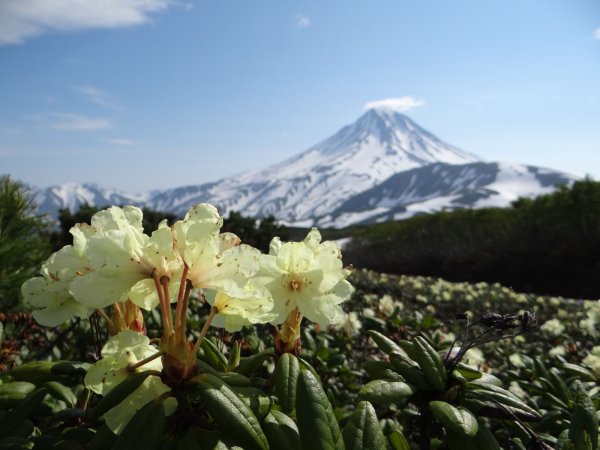 Природный парк Налычево на Камчатке