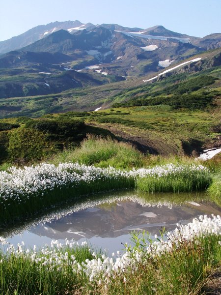 Весна на Камчатке