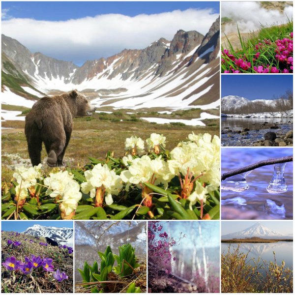 Авачинский вулкан Камчатка летом