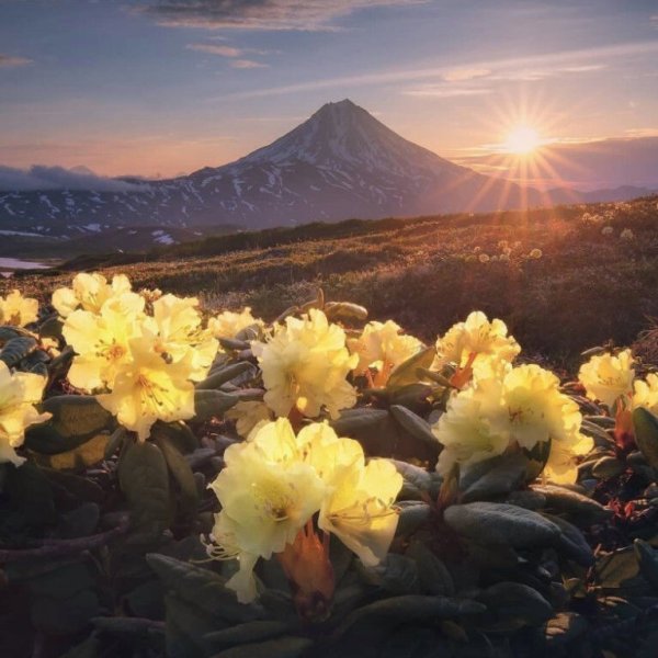 Вулканы в Петропавловске Камчатском зимой