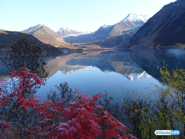 Вулканы Камчатки Вилючинский цветы