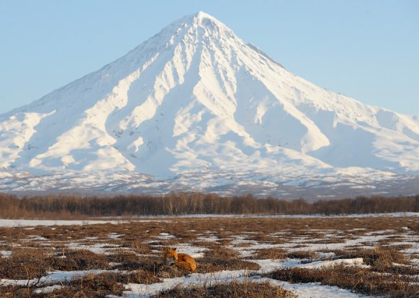 Белоуско Камчатка