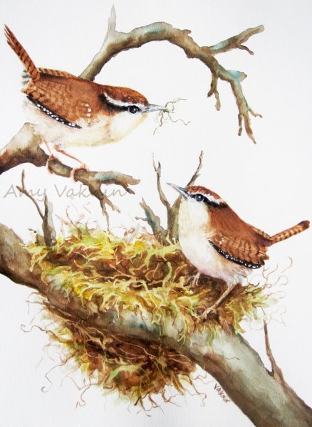 Птички в гнездышках