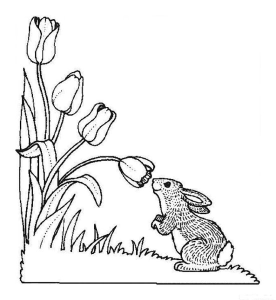 Раскраска. Весна