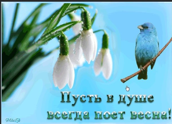 Хорошего дня весны в душе