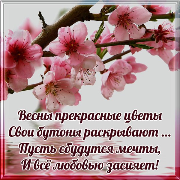 Душевного тепла и спокойствия желаю