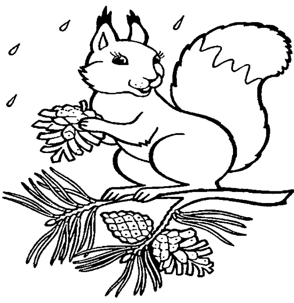 Раскраски для детей Весна животные