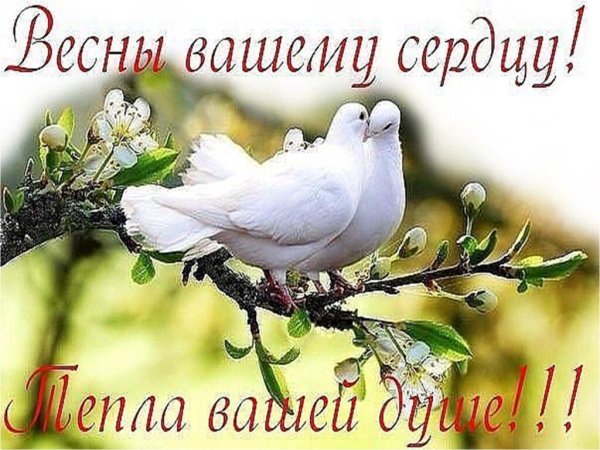 Цветы весенние с добрыми пожеланиями