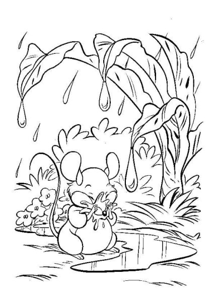 Раскраска природа