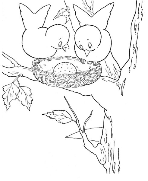 Птичка в гнезде раскраска