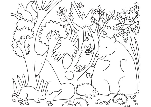 Лесные животные задания для детей