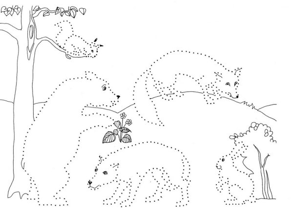 Дикие животные обводка