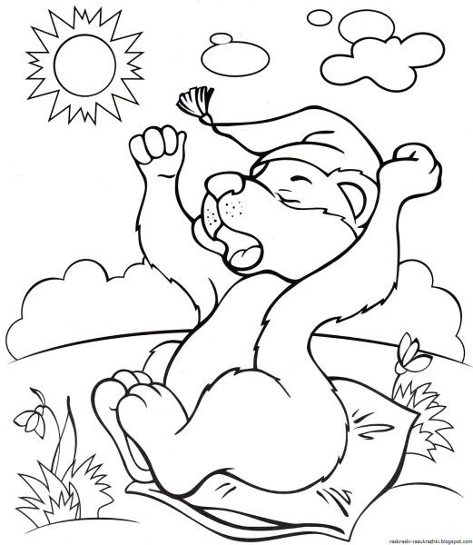 Медвежонок просыпается раскраска