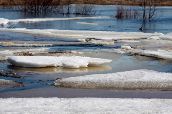 Ледоход на Ладоге