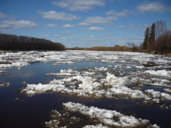 Весенний пейзаж рисунок