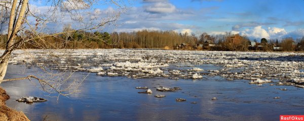 Олег Молчанов художник весенние воды