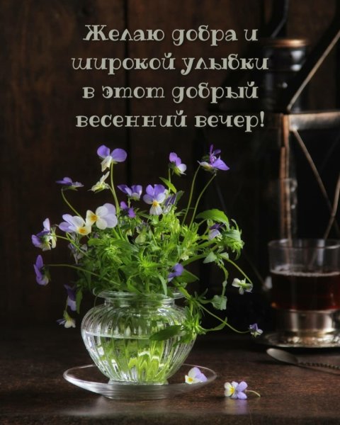 Весенний вечер надписи