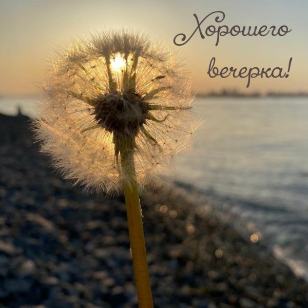 Весенний вечер