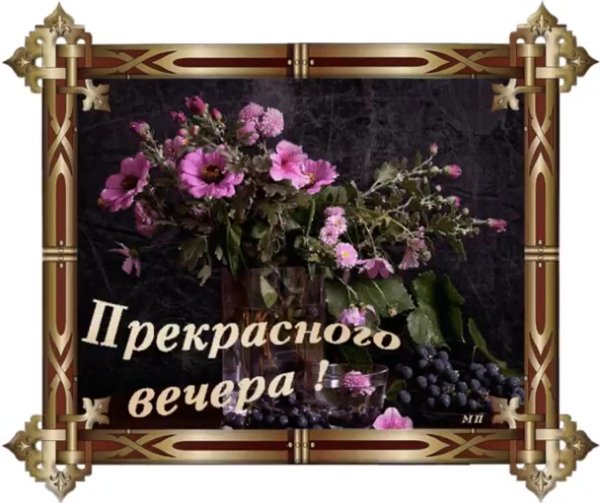 Цветы с пожеланием доброго вечера