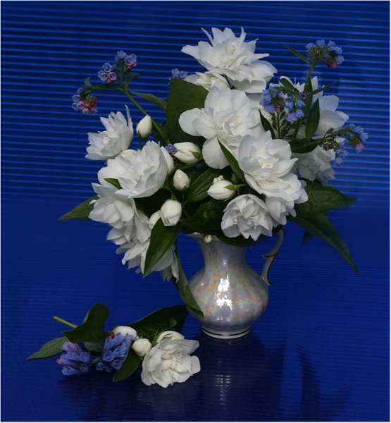 Добрый вечер хорошему человеку