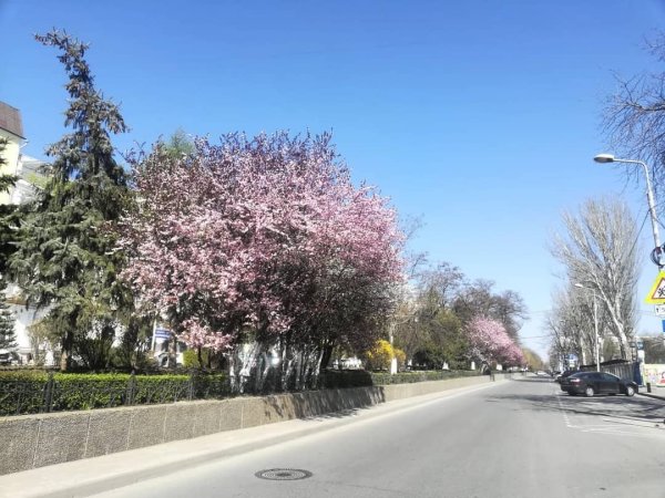 Ростов на Дону Весна