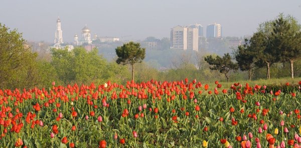 Ростов на Дону Весна