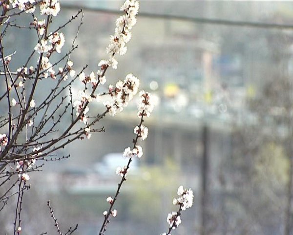 Ростов весной