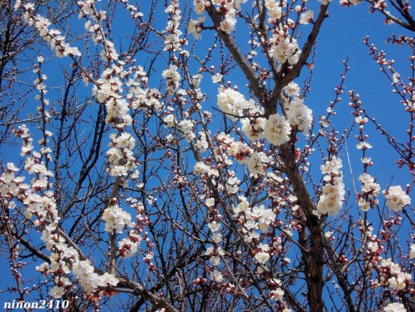 Набережная города Ростова на Дону