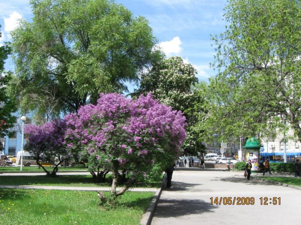 Весна в Ростове