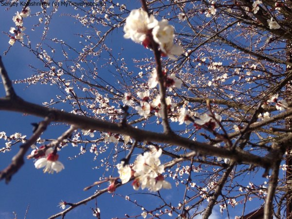 Ростов на Дону Весна