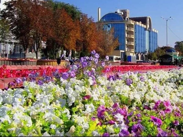 Набережная Ростова-на-Дону весной