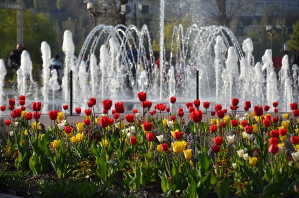 Парк Плевен Ростов-на-Дону