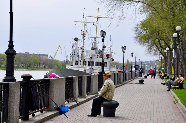 Сакура цветет в Ростове на Дону