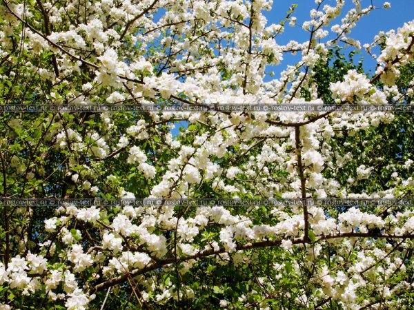 Набережная Ростова-на-Дону зима