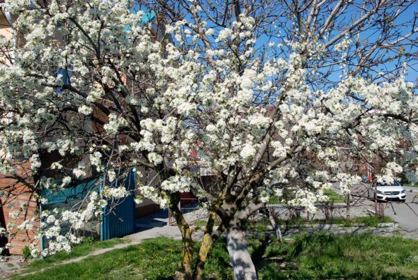 Набережная Дона в Ростове на Дону