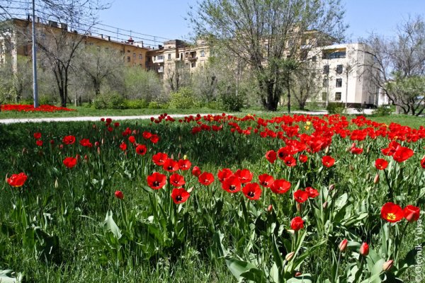 Соборная улица Ростов-на-Дону